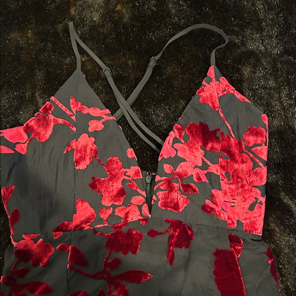 Tobi Black and Red Velvet Floral Maxi Dress
